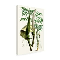 Къртис 'тропически растения Ив' платно изкуство